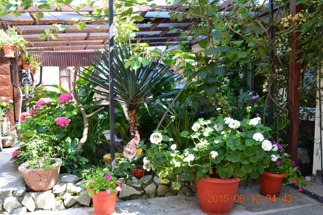 U Palycha Guest House Сухумі Екстер'єр фото